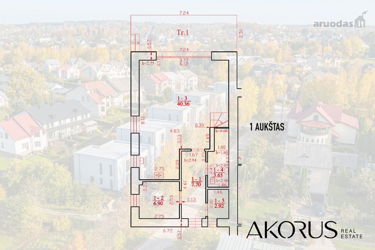 Verta Žinoti - nuotraukos Nr. 13