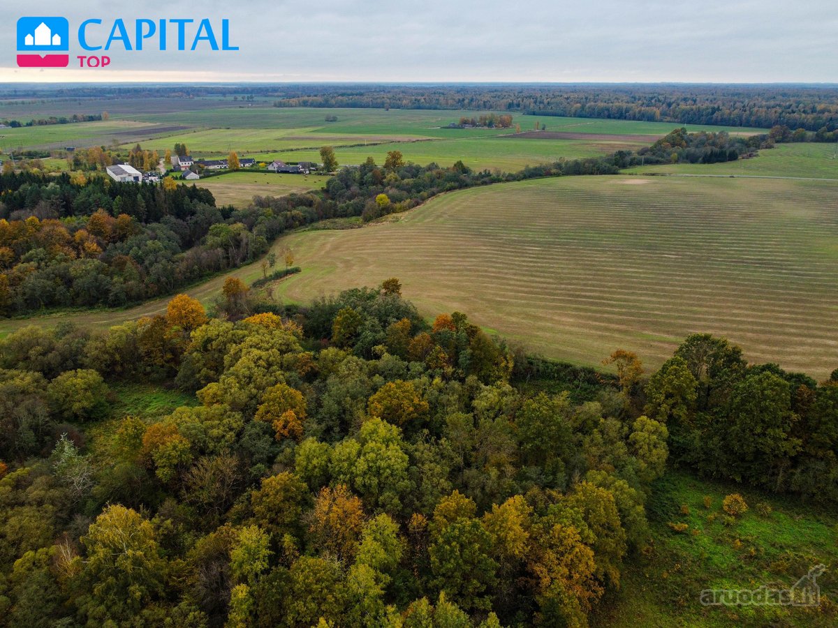 Parduodamas 6,297 ha derlingas žemės ūkio - nuotraukos Nr. 6