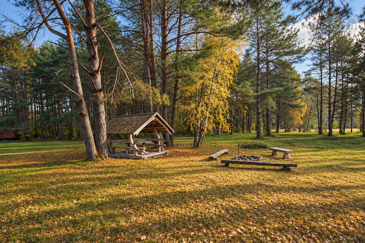 Parduodamas Žemės Sklypas Šalia Merkio Upės! - nuotraukos Nr. 2