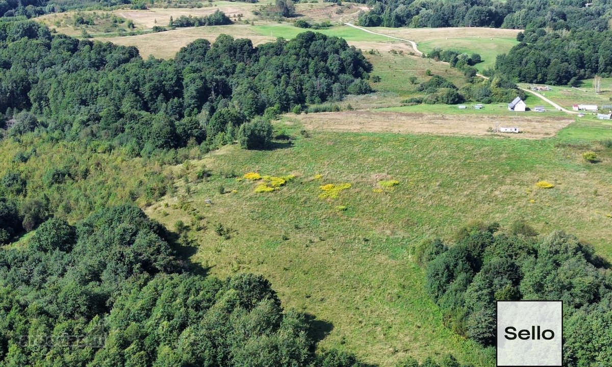  – Nt ekspertai be procentų - nuotraukos Nr. 8