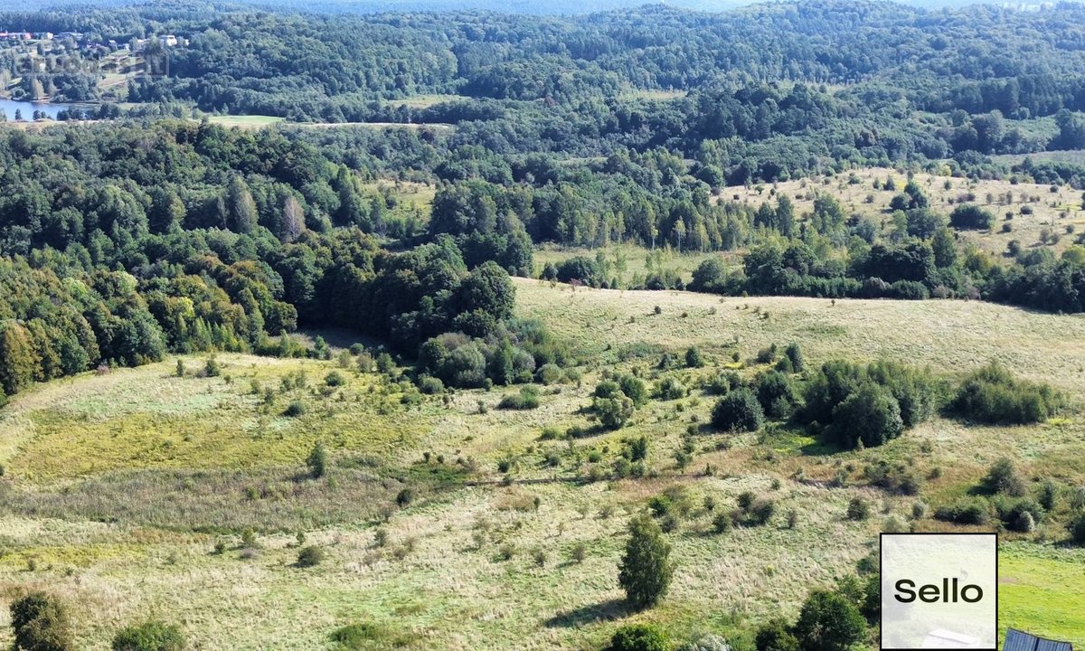  – Nt ekspertai be procentų - nuotraukos Nr. 11