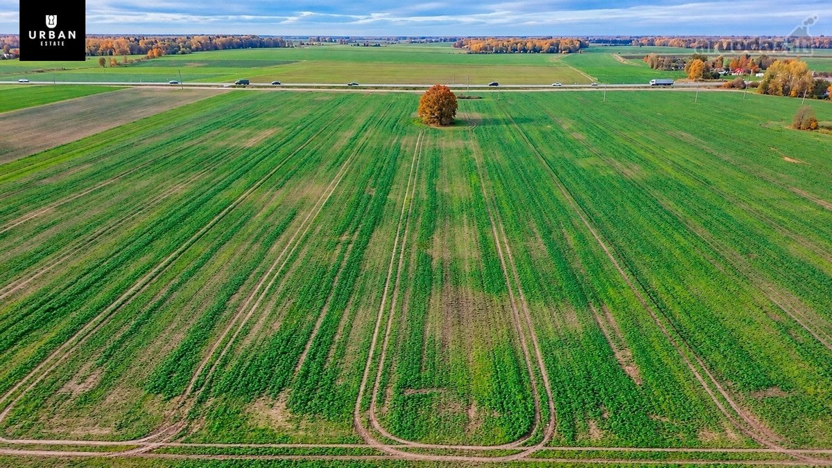 Parduodamas Dirbamos Žemės Sklypas Valdeikių - nuotraukos Nr. 3