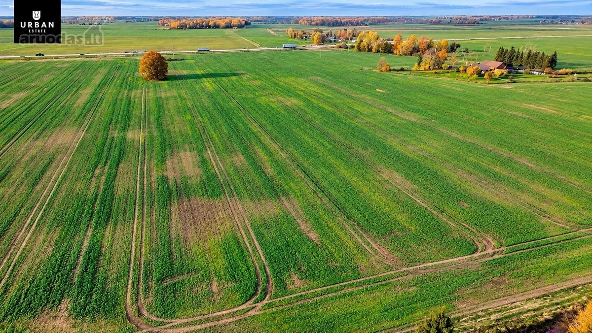 Parduodamas Dirbamos Žemės Sklypas Valdeikių - nuotraukos Nr. 4