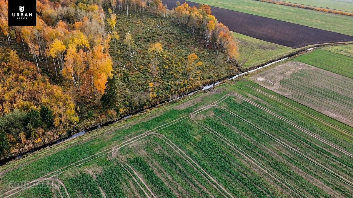 Parduodamas Dirbamos Žemės Sklypas Valdeikių - nuotraukos Nr. 8