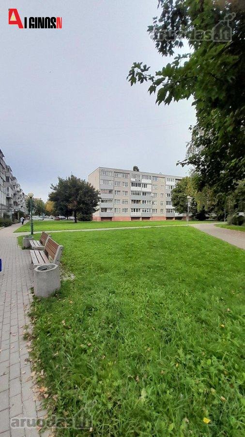 Klaipėdoje, Taikos pr. parduodamas 1-o - nuotraukos Nr. 11