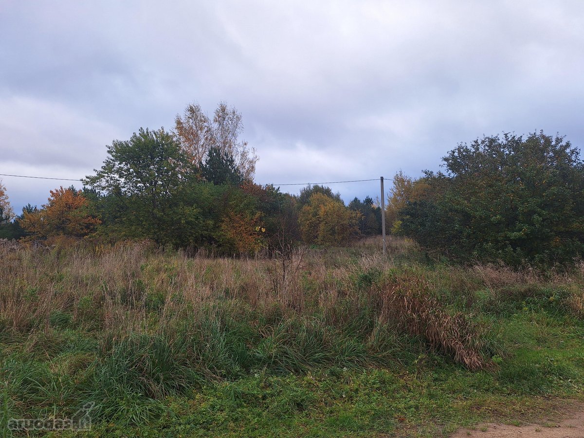 Geroje, vietoje, Didžiuosiuose Gulbinuose, - nuotraukos Nr. 5