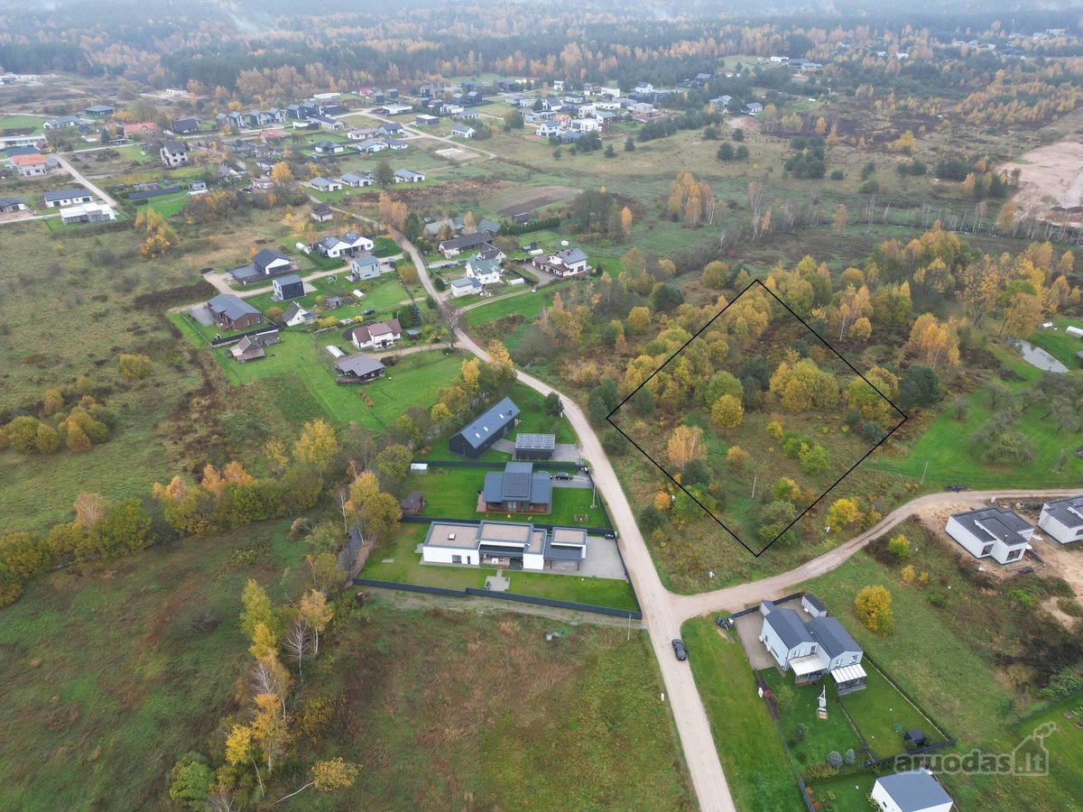 Geroje, vietoje, Didžiuosiuose Gulbinuose, - nuotraukos Nr. 2