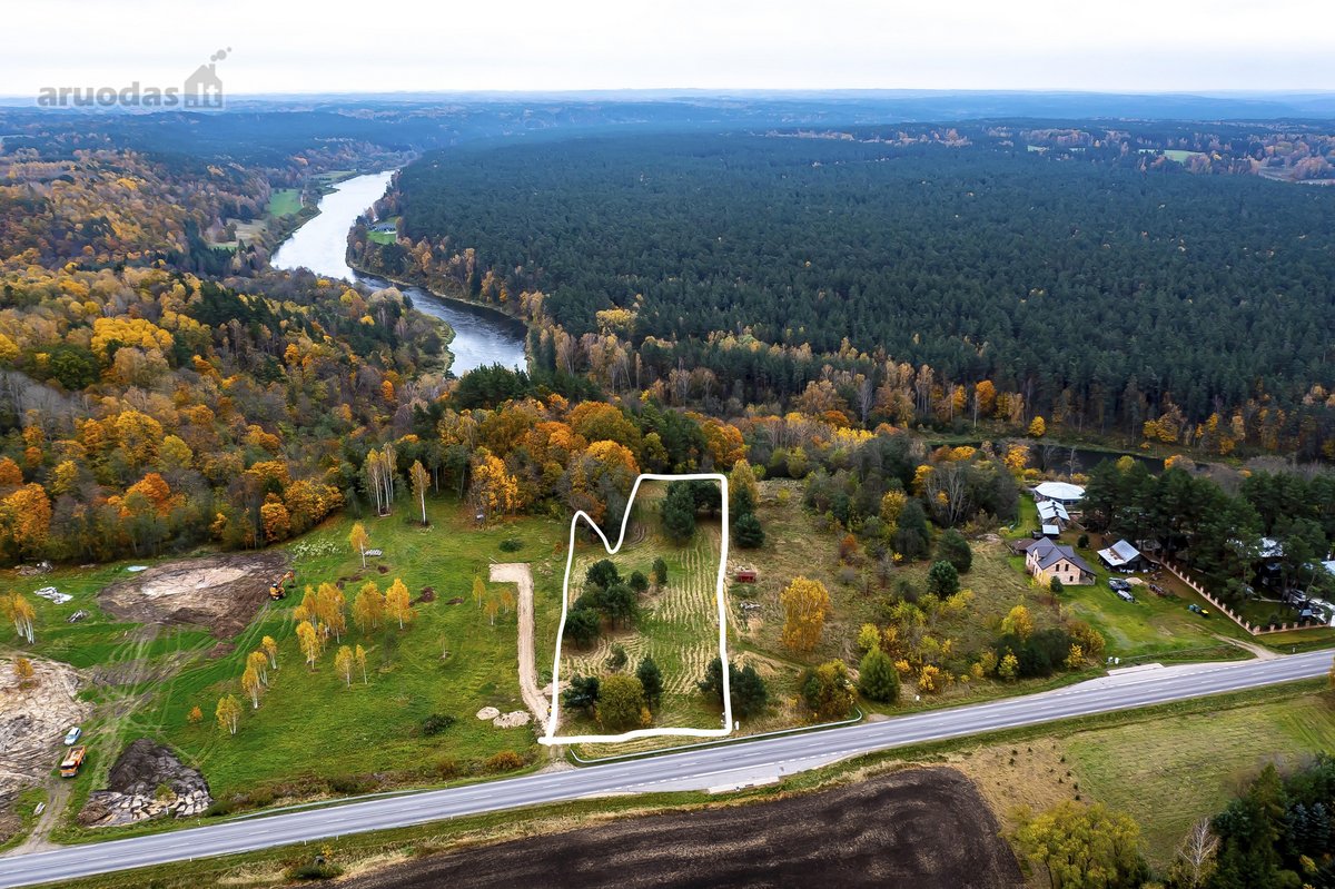 Pro langą norite matyti miškų viršūnių tolius - nuotraukos Nr. 2