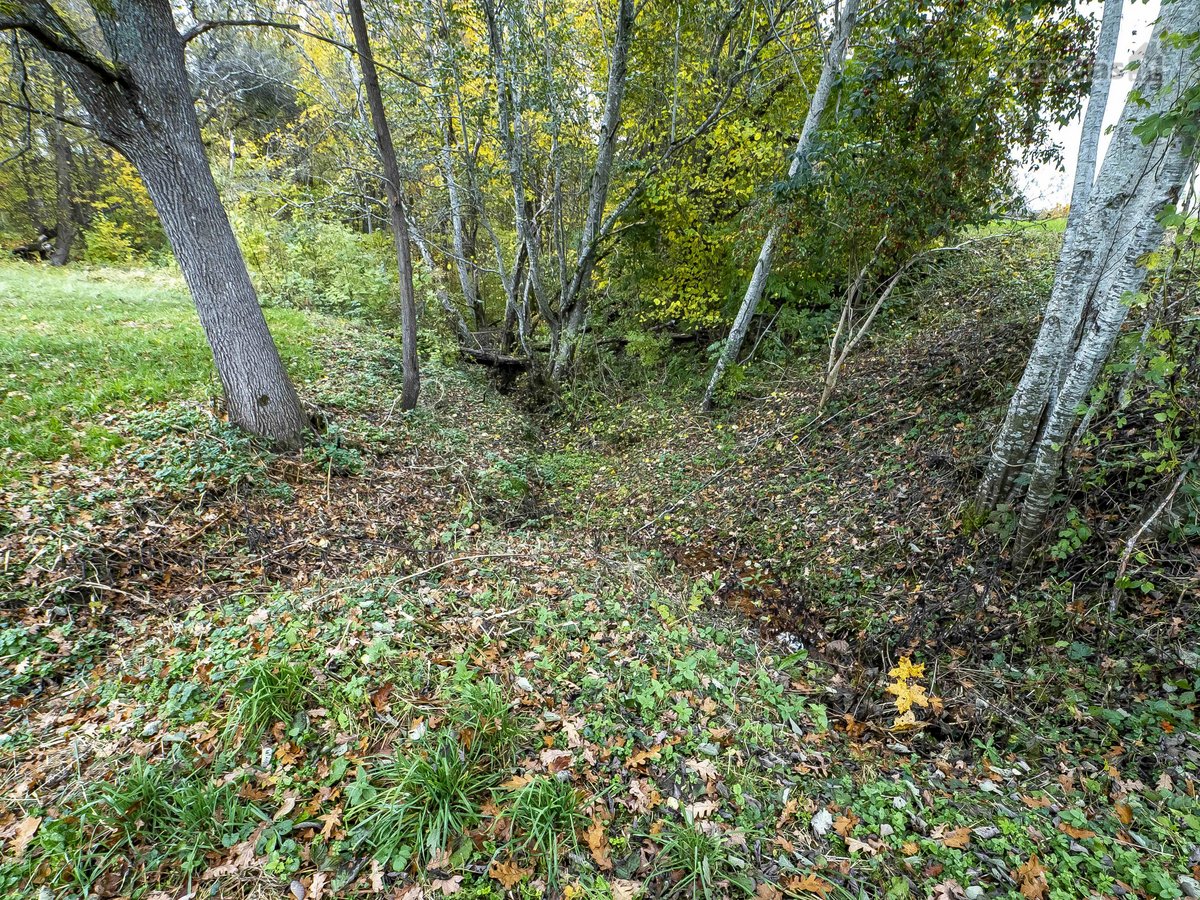 Pro langą norite matyti miškų viršūnių tolius - nuotraukos Nr. 4