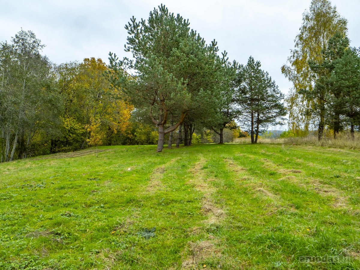 Pro langą norite matyti miškų viršūnių tolius - nuotraukos Nr. 6