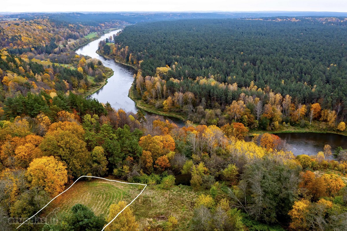 Pro langą norite matyti miškų viršūnių tolius - nuotraukos Nr. 7