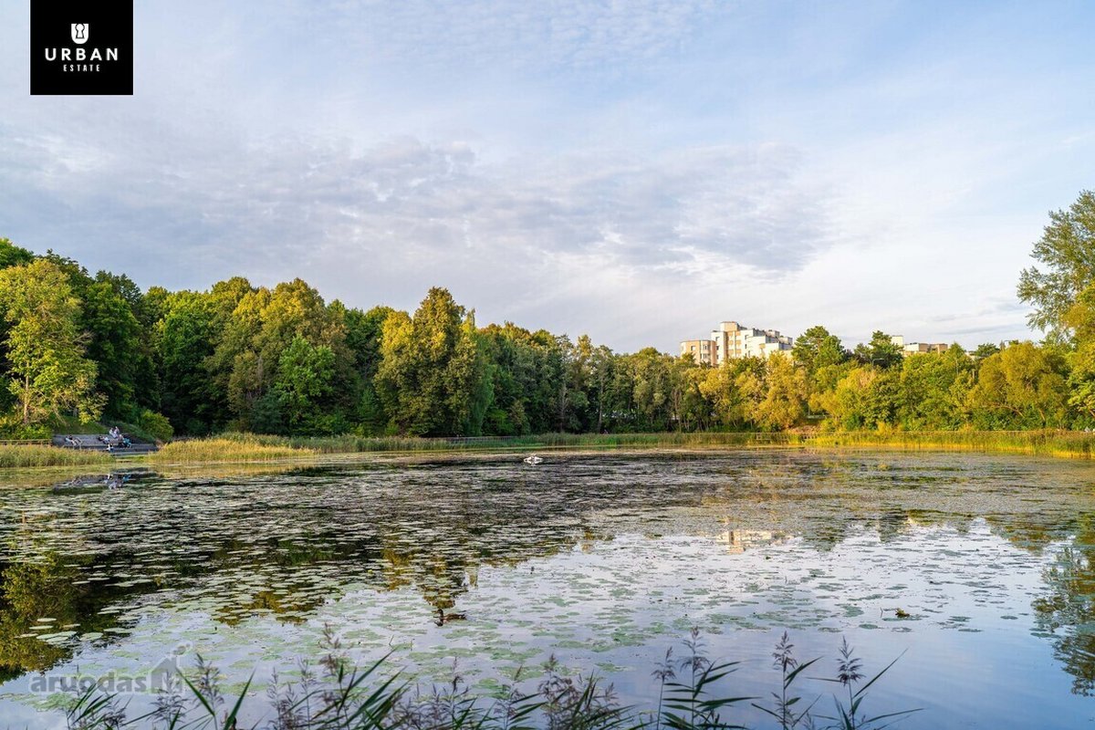 Vilniaus m. sav., Vilniaus m., Jeruzalė - nuotraukos Nr. 27