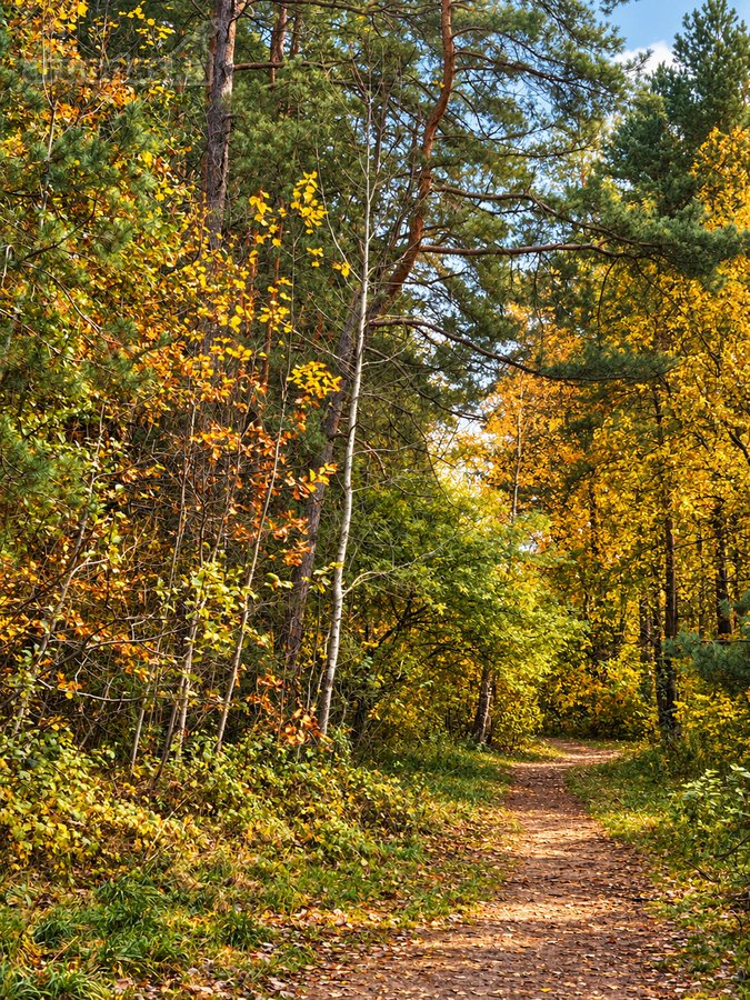 Parduodamas 2 Kambarių Butas Lazdynėliuose, - nuotraukos Nr. 17