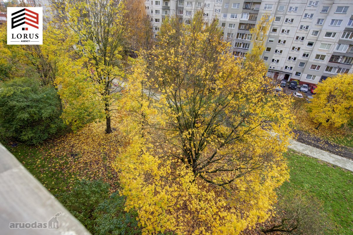 Jaukus 1 Kambario Butas Šeškinėje - nuotraukos Nr. 16