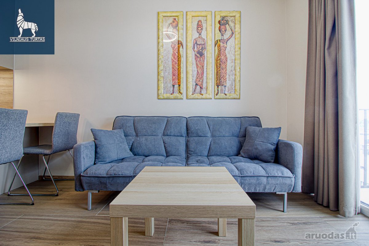 Išnuomojamas jaukus ir šviesus 1,5 kambario - nuotraukos Nr. 6
