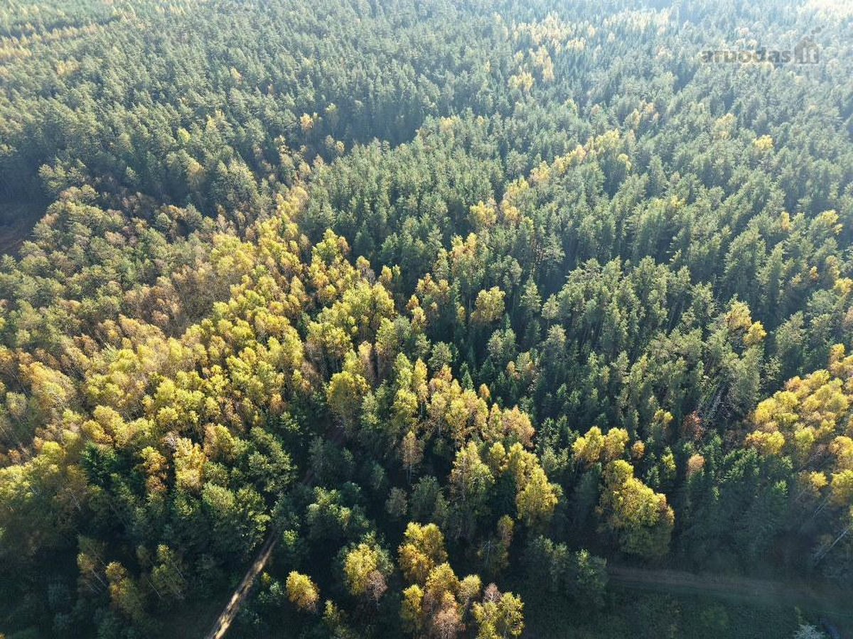Parduodamas Namų Valdos Sklypas Gamtos - nuotraukos Nr. 2