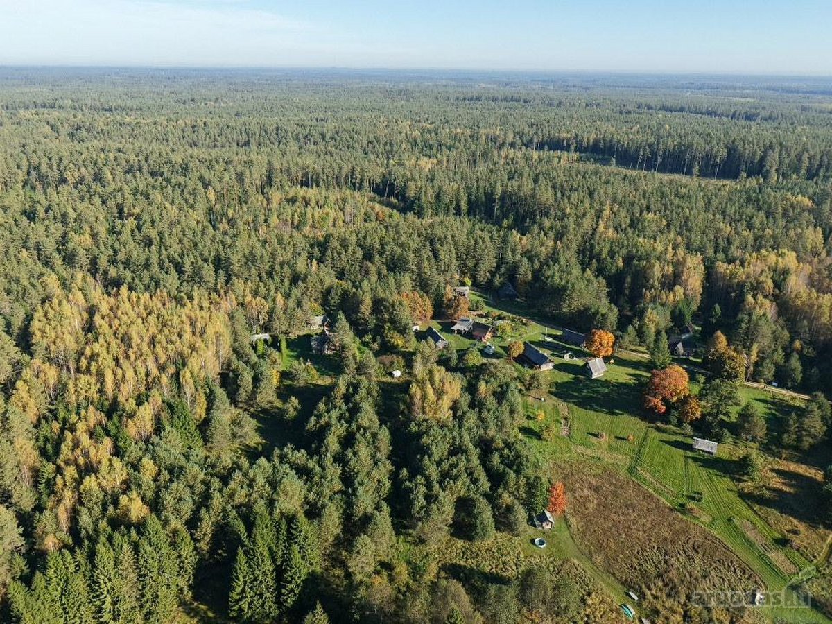 Parduodamas Namų Valdos Sklypas Gamtos - nuotraukos Nr. 5