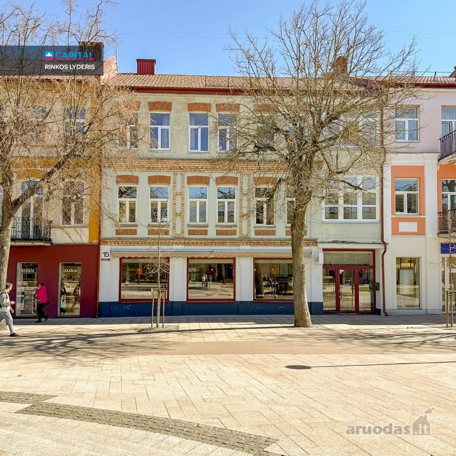 Pačioje Panevėžio Miesto Širdyje - Laisvės - nuotraukos Nr. 3