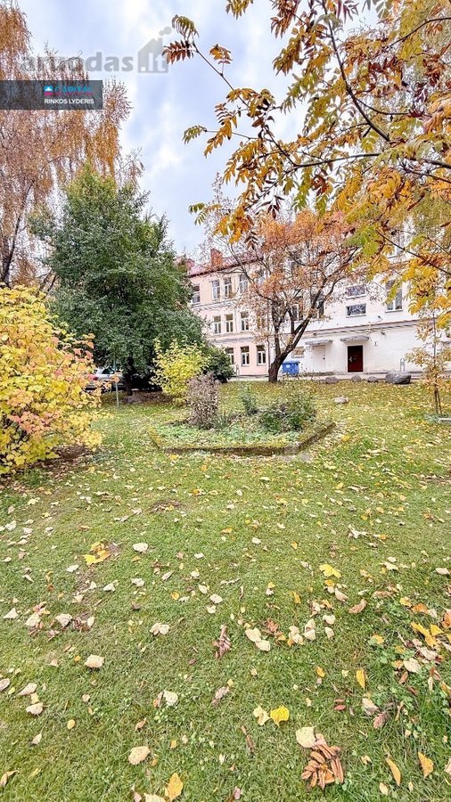 Pačioje Panevėžio Miesto Širdyje - Laisvės - nuotraukos Nr. 16