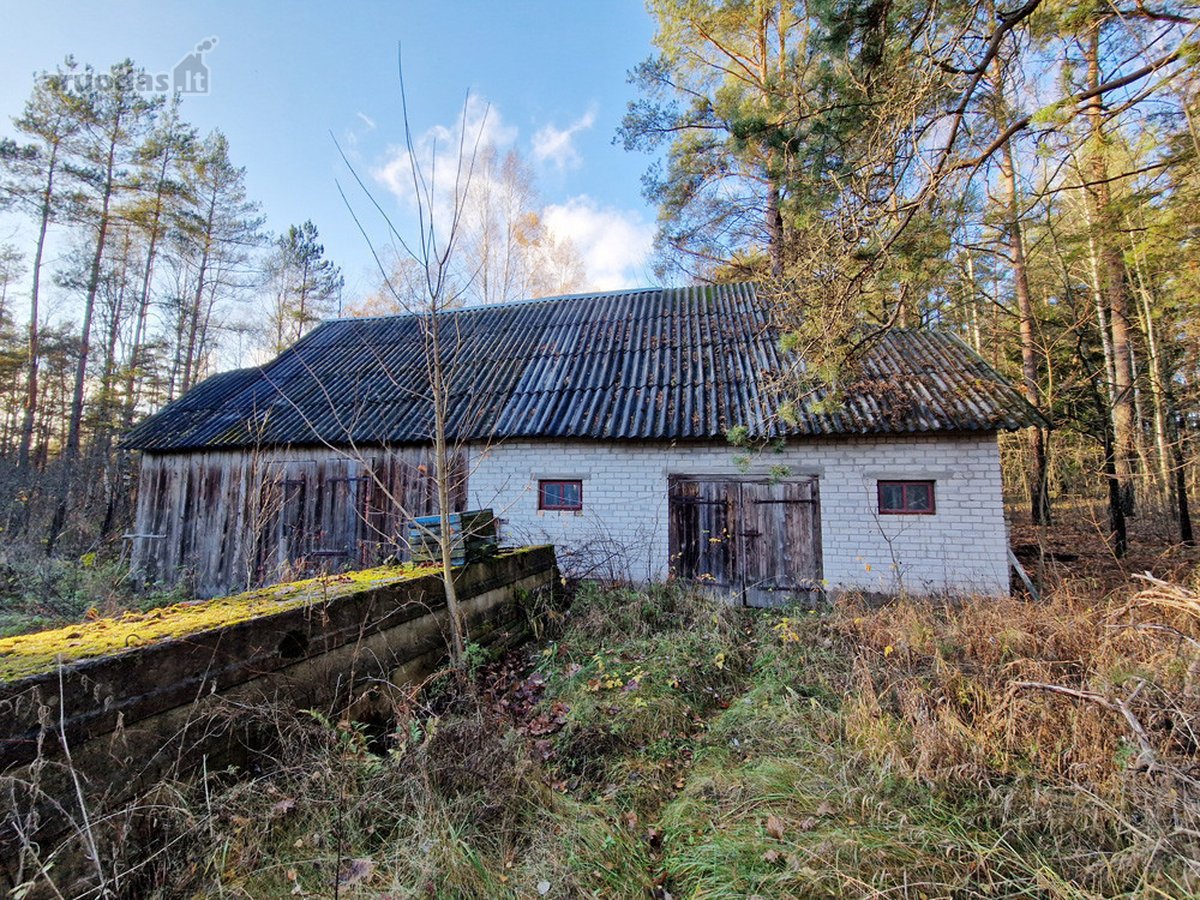 Šalia Molėtų miesto, labai ramioje ir - nuotraukos Nr. 12