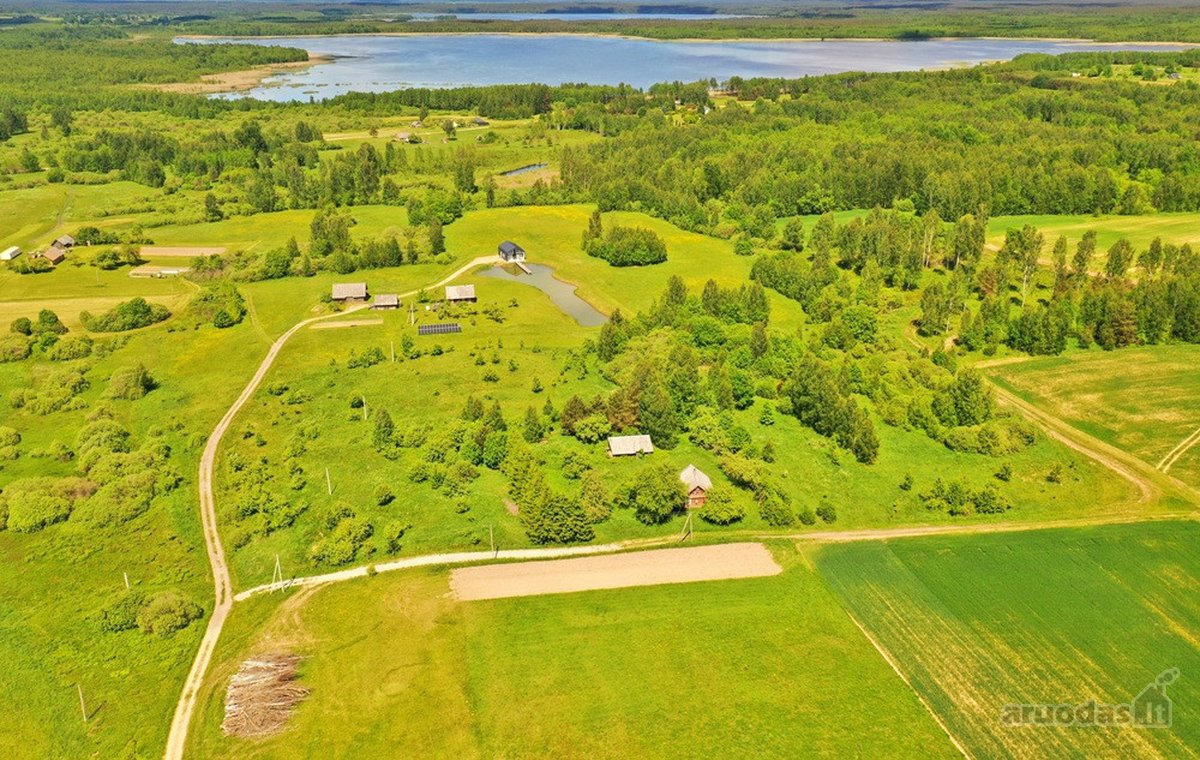 Kalvų, Klonių Ir Miškų Apsuptyje, Labanoro - nuotraukos Nr. 3
