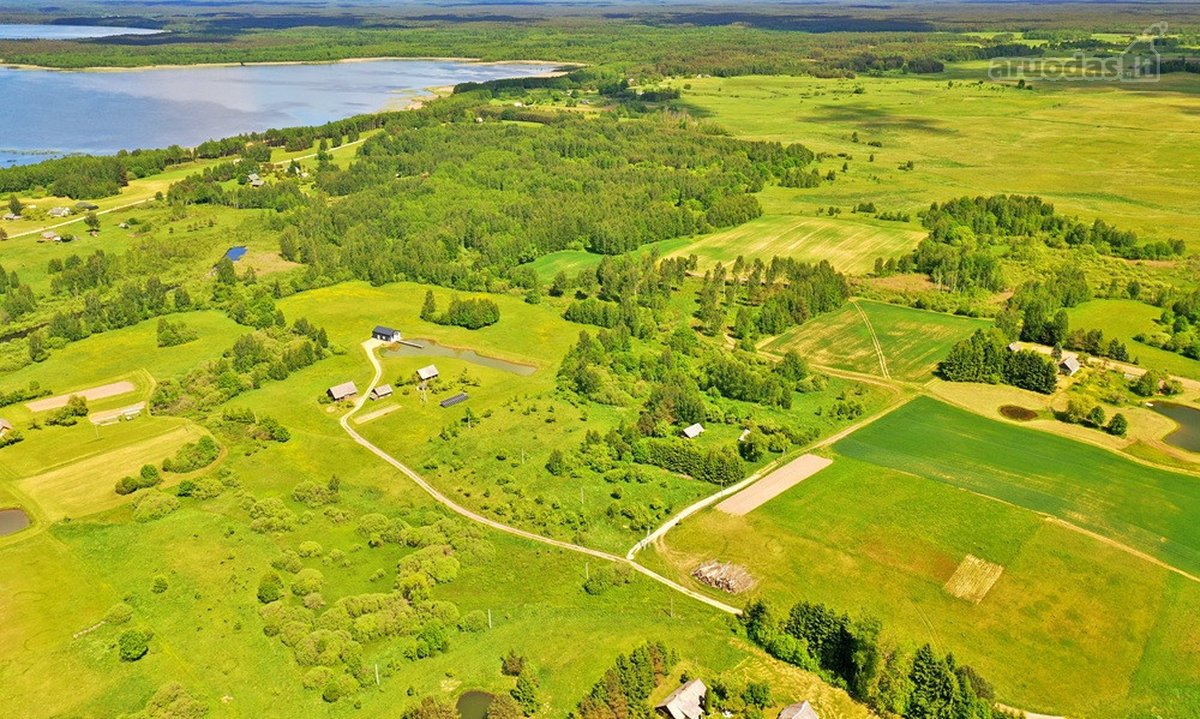Kalvų, Klonių Ir Miškų Apsuptyje, Labanoro - nuotraukos Nr. 5