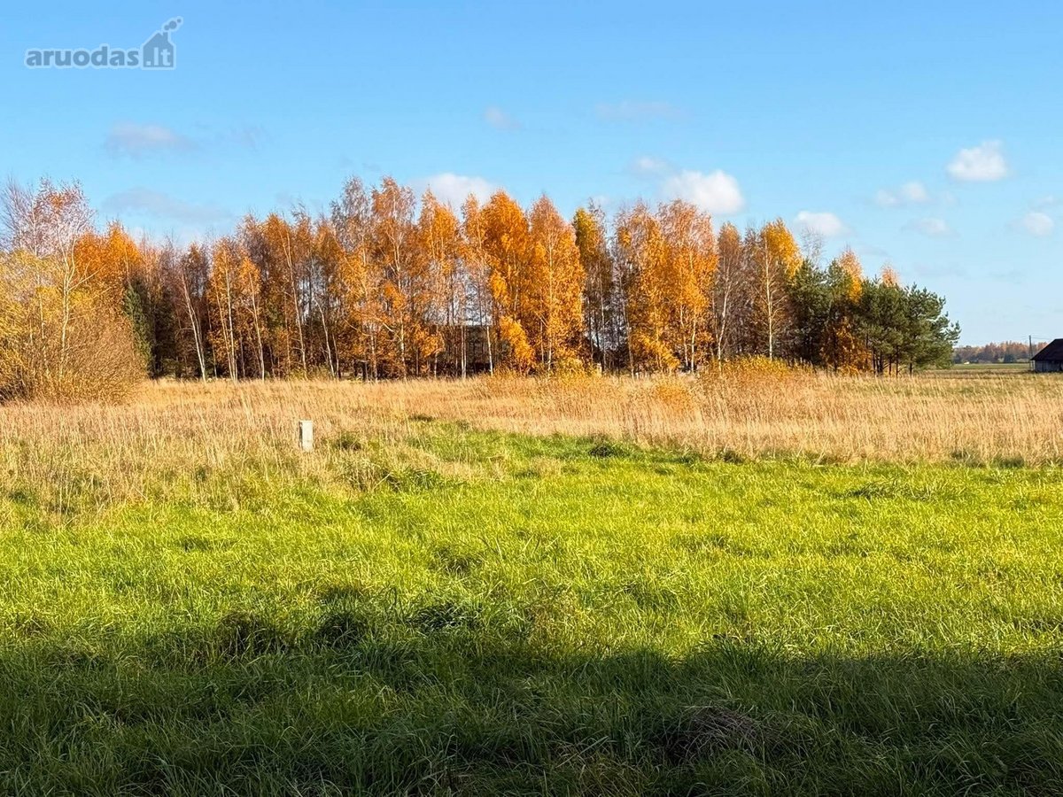 Sklypai Šalia Lėvens Upės Ir Pušyno - nuotraukos Nr. 7