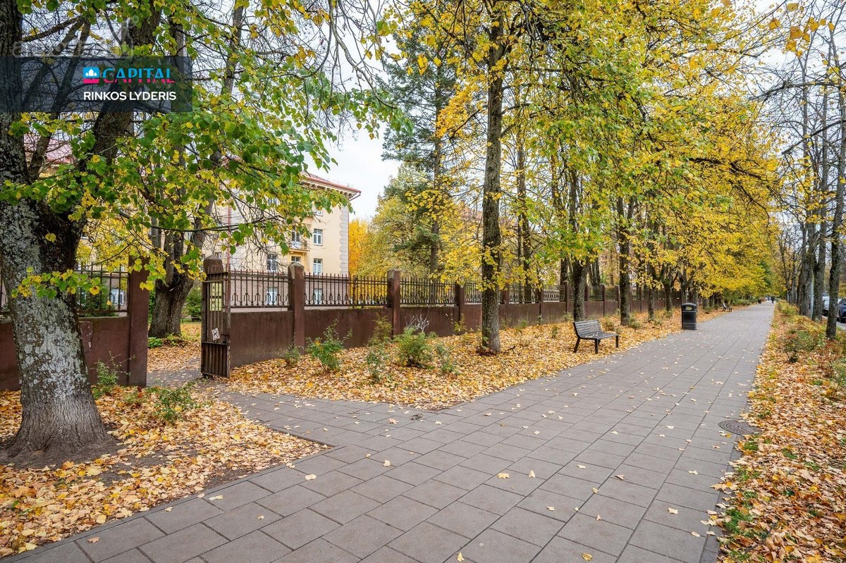 Nuomojamas Naujai Įrengtas 1 Kambario Butas M - nuotraukos Nr. 19