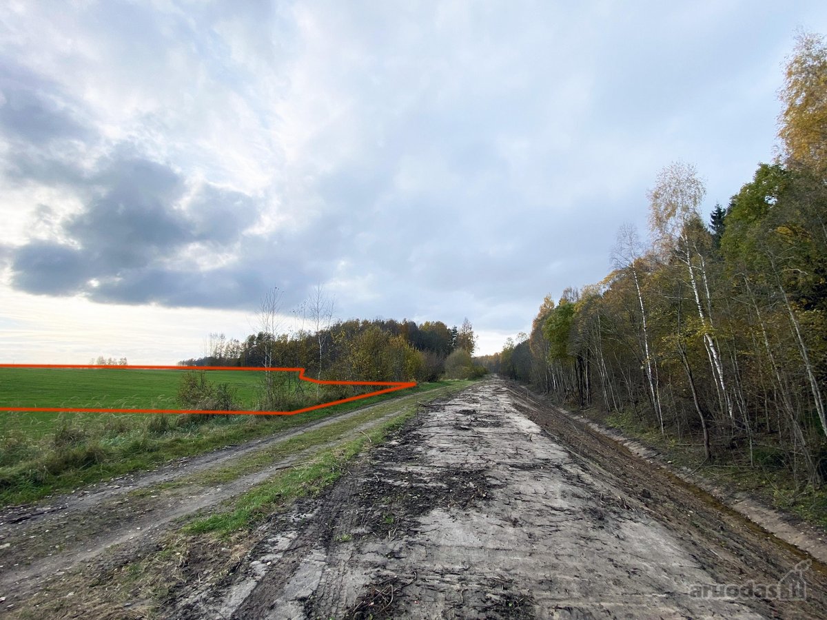 Išskirtinė Vieta Gamtos Apsuptyje – 1,23 Ha - nuotraukos Nr. 2