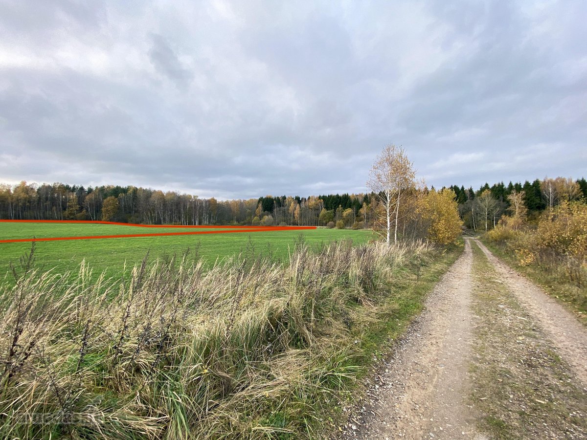 Išskirtinė Vieta Gamtos Apsuptyje – 1,23 Ha - nuotraukos Nr. 3