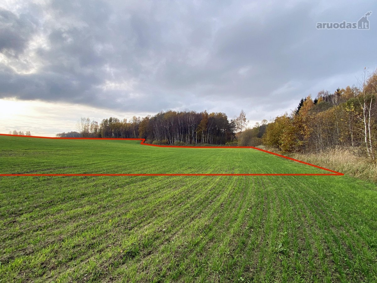 Išskirtinė Vieta Gamtos Apsuptyje – 1,23 Ha - nuotraukos Nr. 4