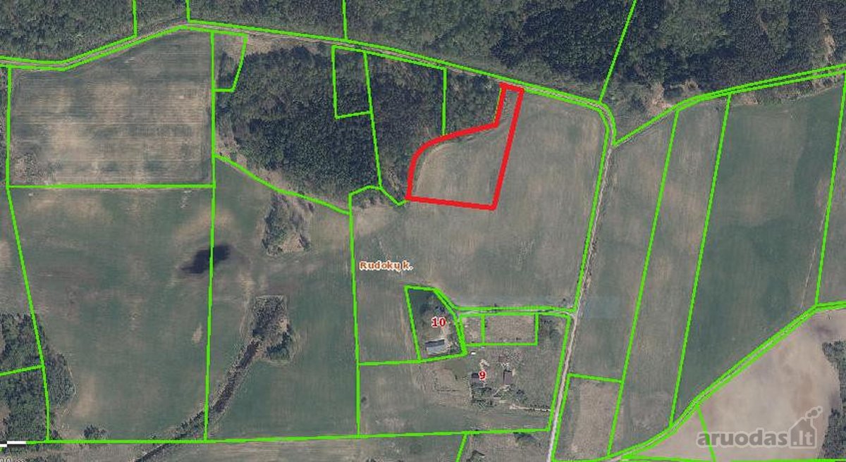 Išskirtinė Vieta Gamtos Apsuptyje – 1,23 Ha - nuotraukos Nr. 5