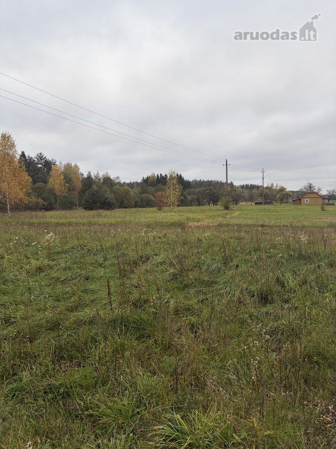 Parduodamas Sklypas Neravų K., Druskininkų - nuotraukos Nr. 2