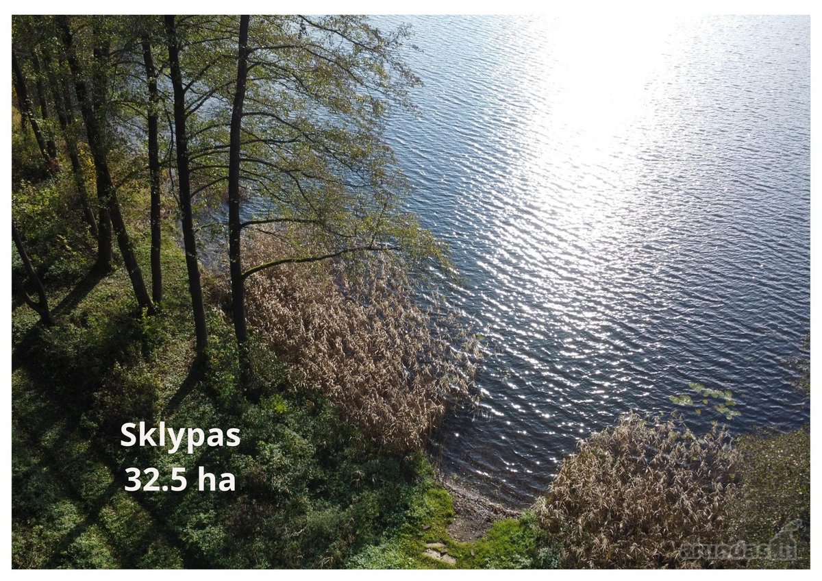Parduodamas unikalus 32,5 ha žemės ūkio - nuotraukos Nr. 5