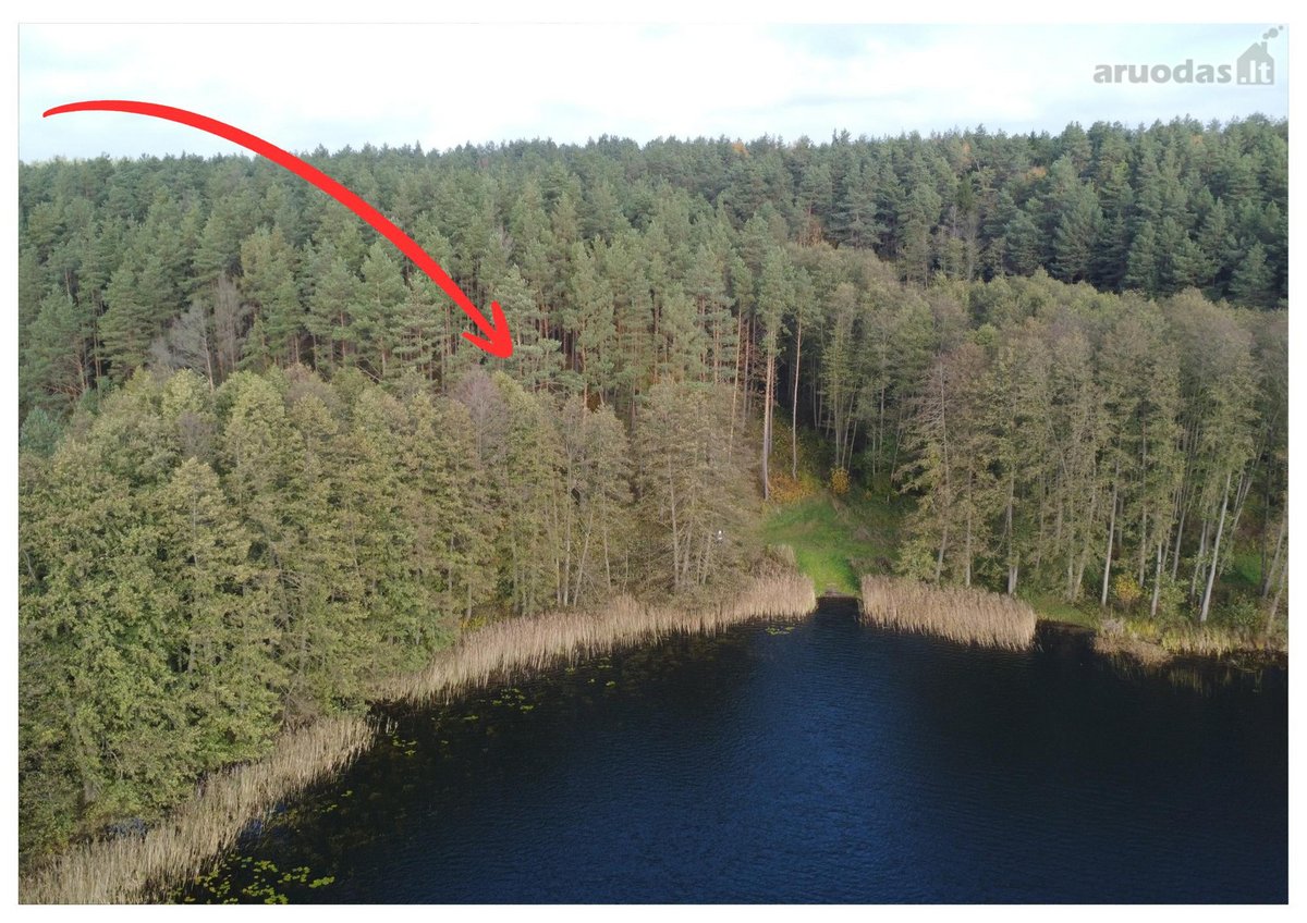 Parduodamas unikalus 32,5 ha žemės ūkio - nuotraukos Nr. 4