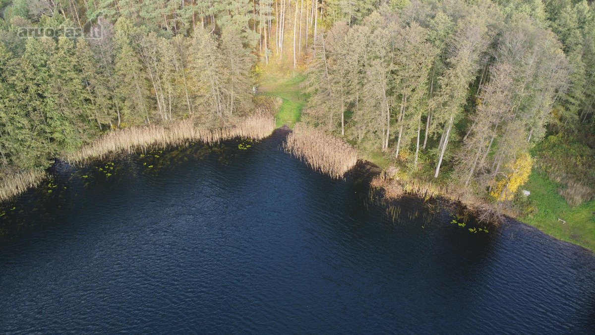 Parduodamas unikalus 32,5 ha žemės ūkio - nuotraukos Nr. 3