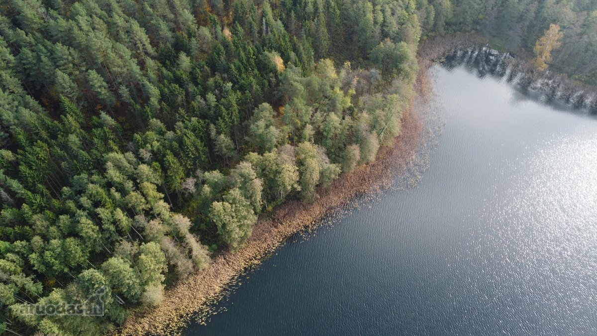 Parduodamas unikalus 32,5 ha žemės ūkio - nuotraukos Nr. 9