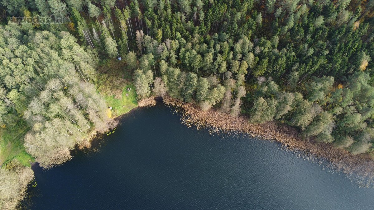 Parduodamas unikalus 32,5 ha žemės ūkio - nuotraukos Nr. 2