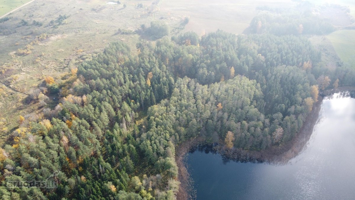Parduodamas unikalus 32,5 ha žemės ūkio - nuotraukos Nr. 10