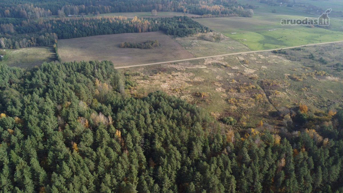 Parduodamas unikalus 32,5 ha žemės ūkio - nuotraukos Nr. 15