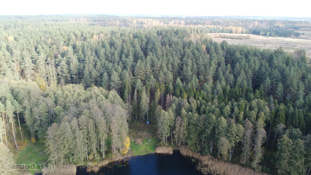 Parduodamas unikalus 32,5 ha žemės ūkio - nuotraukos Nr. 12