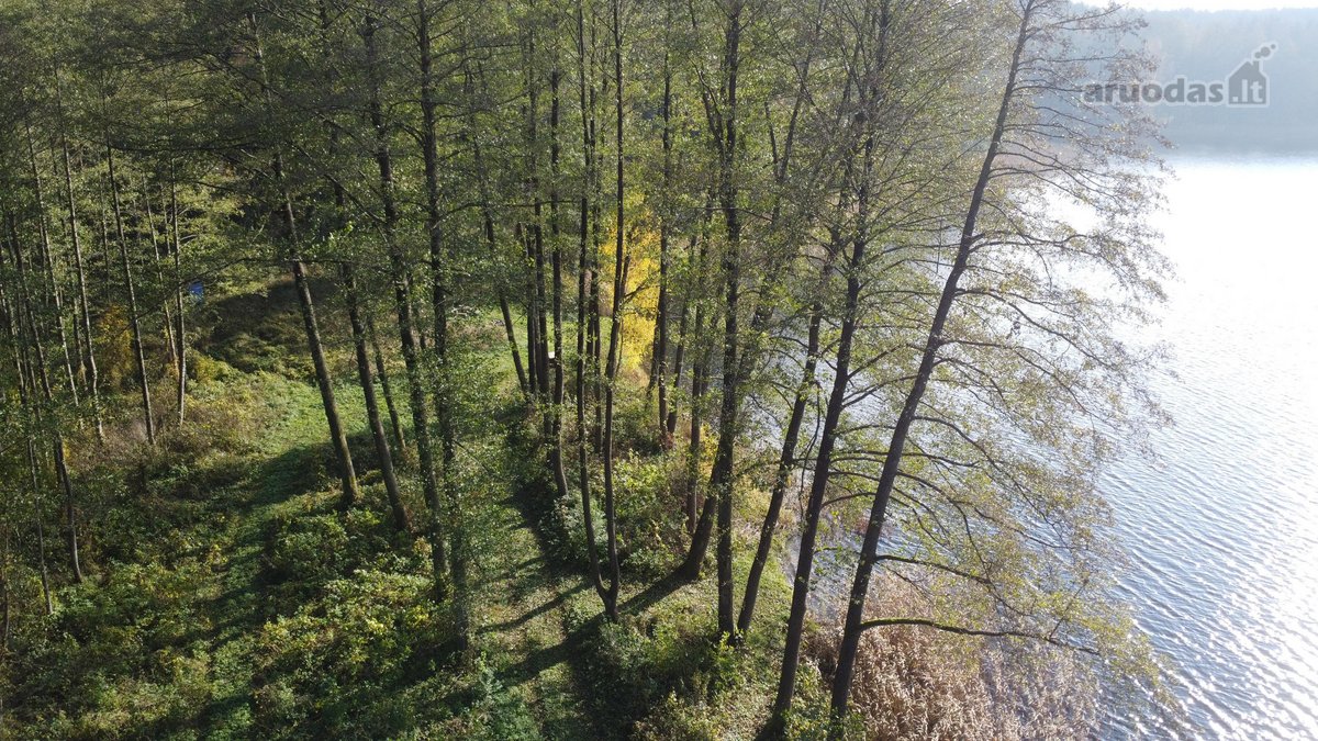 Parduodamas unikalus 32,5 ha žemės ūkio - nuotraukos Nr. 6