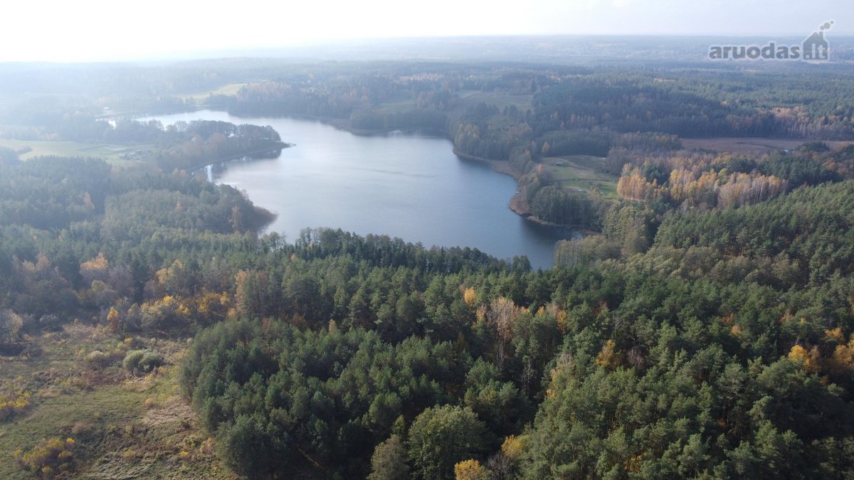 Parduodamas unikalus 32,5 ha žemės ūkio - nuotraukos Nr. 11