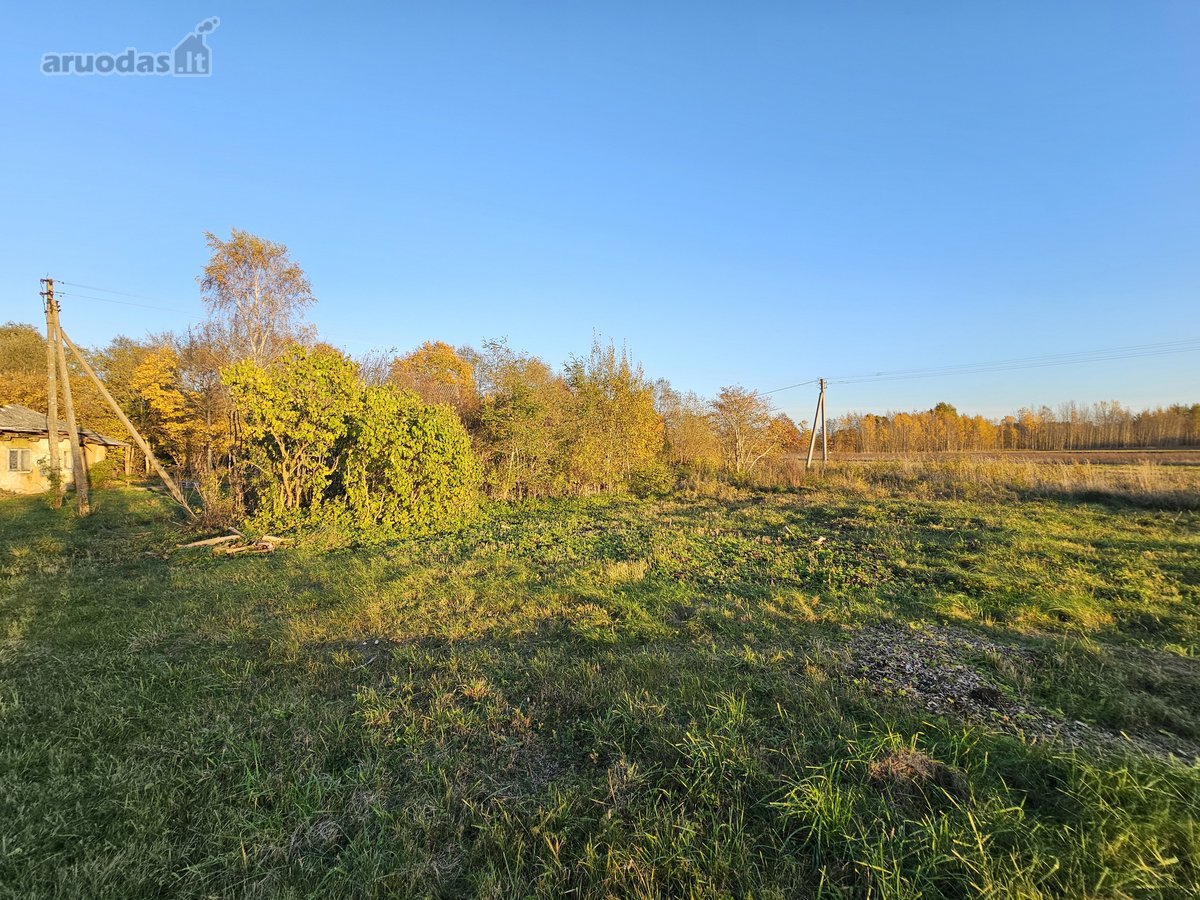 Klaipėdos r. Vanagų k. Parduodama sodyba - nuotraukos Nr. 15