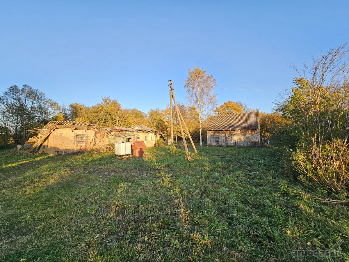 Klaipėdos r. Vanagų k. Parduodama sodyba - nuotraukos Nr. 17