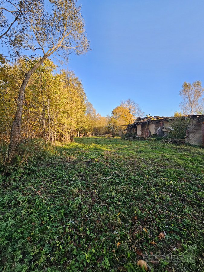Klaipėdos r. Vanagų k. Parduodama sodyba - nuotraukos Nr. 5