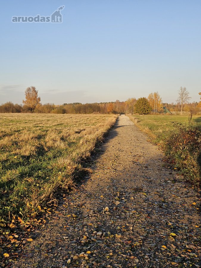 Klaipėdos r. Vanagų k. Parduodama sodyba - nuotraukos Nr. 12