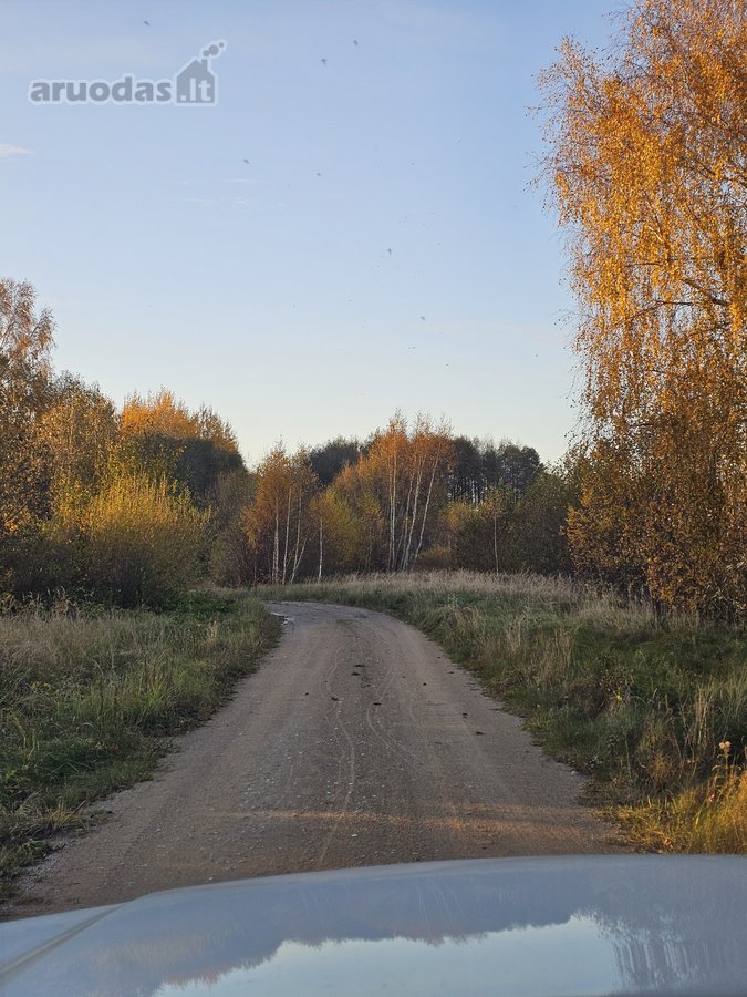 Klaipėdos r. Vanagų k. Parduodama sodyba - nuotraukos Nr. 20
