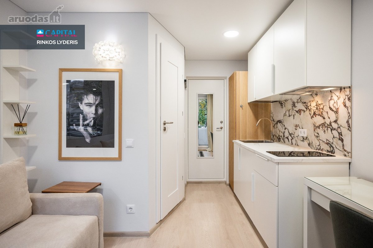 Nuomojama Stilinga 14,36 M² Studija Su - nuotraukos Nr. 8