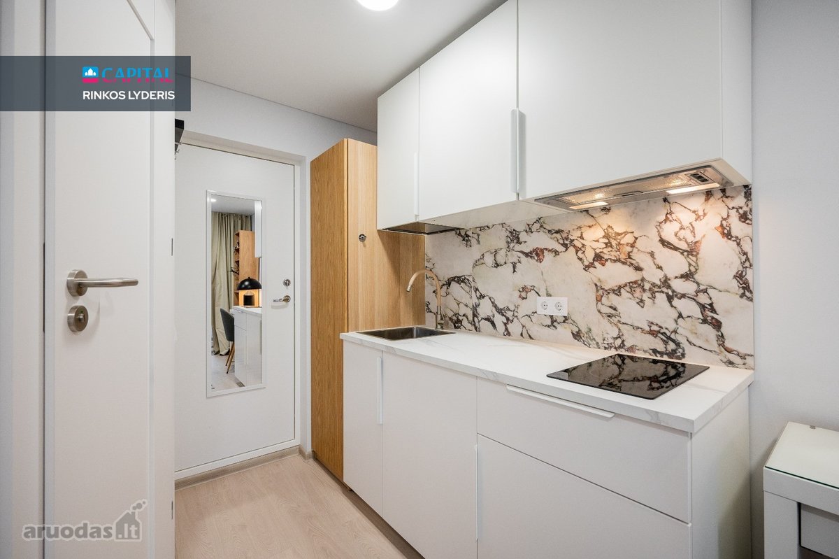 Nuomojama Stilinga 14,36 M² Studija Su - nuotraukos Nr. 9